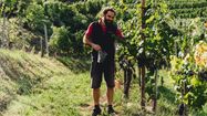 Les vignerons prennent les décisions, orientent les investissements et définissent les grandes lignes techniques et commerciales